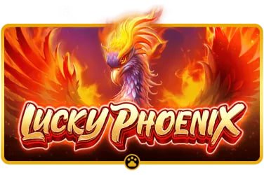 www666 ဂိမ်းလော်ဘီတွင် Slots နှင့် Live Casino ဂိမ်းများ ကစားနေသောမြင်ကွင်း